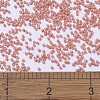MIYUKI Delica Beads X-SEED-J020-DB1363-4
