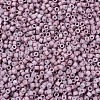 MIYUKI Delica Beads Small SEED-JP0008-DBS0379-3
