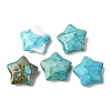 Natural Howlite Charms G-H241-04E-2