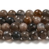 Natural Black Moonstone Beads Strands G-A219-A01-01-1