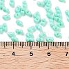 Baking Paint Glass Seed Beads SEED-A033-04D-3