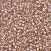 TOHO Round Seed Beads X-SEED-TR11-1069-2