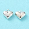 925 Sterling Silver Charms STER-H106-01B-S-2
