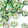 30Pcs Printed Transparent Resin European Beads RESI-TADJ0001-03I-2