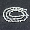 Natural Rainbow Moonstone Beads Strands G-P342-02B-4mm-AB+-2