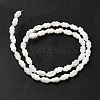 Natural Trochus Shell Beads Strands SHEL-M021-01-2