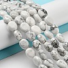 Natural Howlite Beads Strands G-M420-D04-01-2