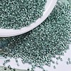 MIYUKI Delica Beads X-SEED-J020-DB0416-1