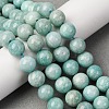 Natural Amazonite Beads Strands G-K068-03-10mmA-1