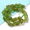 Raw Rough Natural Peridot Beads Strands G-P528-B05-01-2