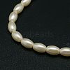 Eco-Friendly Glass Pearl Barrel Beads Strands X-HY-O001-B-03-2
