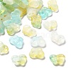 Gradient Color Transparent Acrylic Beads OACR-M023-05C-1