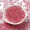 Glass Seed Beads SEED-K009-08A-03-2