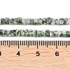 Natural Green Spot Jasper Beads Strands G-G345-C12-2x4mm-5