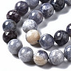 Natural Iolite Beads Strands G-N328-50D-01-3