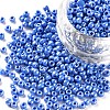 Glass Seed Beads X1-SEED-A012-3mm-123B-1