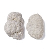 Natural Agate Geode Cornucopia Mineral Specimen DJEW-M014-02D-2