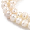 Natural Cultured Freshwater Pearl Beads Strands PEAR-C003-17B-4