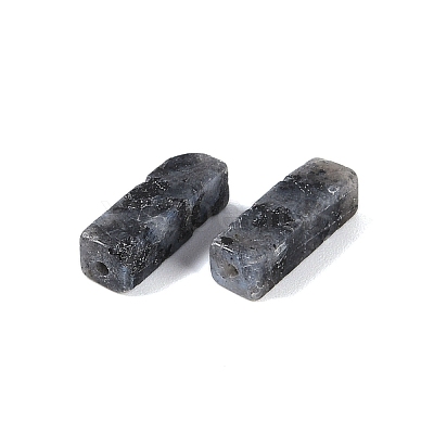 Natural Larvikite Beads G-G137-01M-1