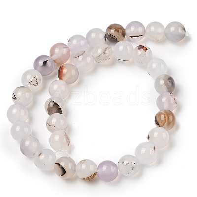 Natural Dendritic Agate Beads Strands G-A248-A07-04-1