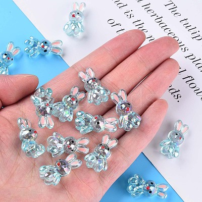 Transparent Acrylic Beads LS-MACR-S373-81-Q03-1