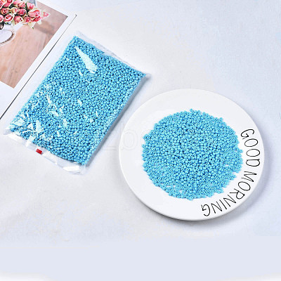 6/0 Glass Seed Beads SEED-S058-A-F298-1