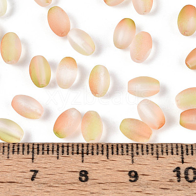 Frosted Glass Seed Beads SEED-N008-05D-1