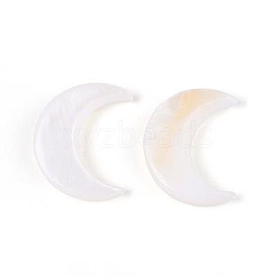 Natural Freshwater Shell Cabochons SHEL-S267-04B-1
