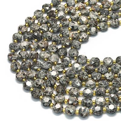 Natural Fluorescent Syenite Rock(Glow under UV Light) Beads Strands G-C116-A18-02-1