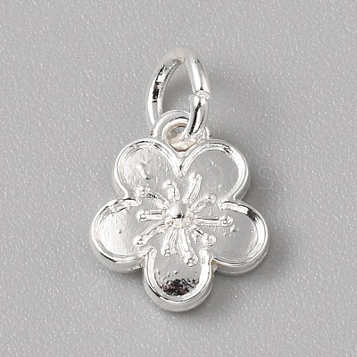 Brass Charms LS-FIND-WH0159-63S-14-1