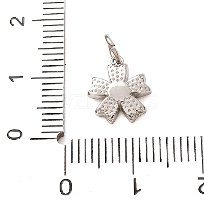 304 Stainless Steel Micro Pave Clear Cubic Zirconia Charms CU-CBAB6EC-24P-1