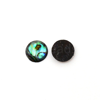 Paua Shell Cabochons SHEL-WH0001-002B-1