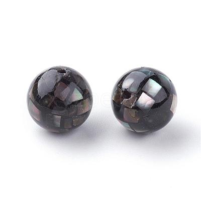 Natural Black Lip Shell Beads SSHEL-Q298-12mm-10-1