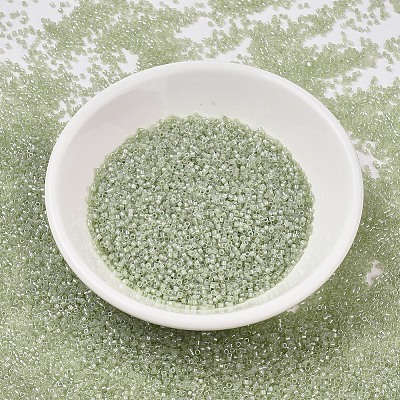 MIYUKI Delica Beads SEED-X0054-DB1765-1