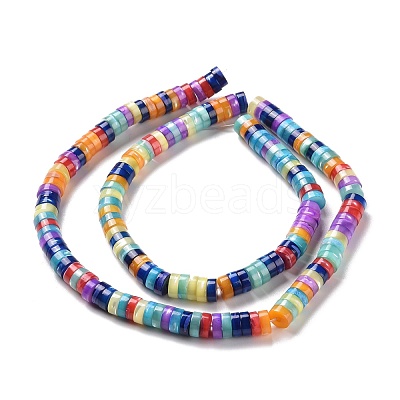 Natural Trochid Shell Beads Strands SSHEL-G023-02B-02-1