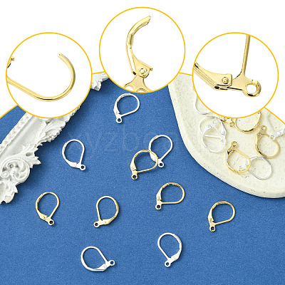 20Pcs 2 Colors Brass Leverback Earring Findings KK-FS0001-47-1