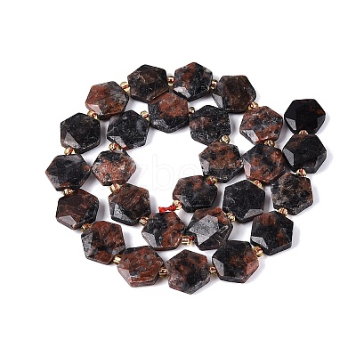 Natural Labradorite Beads Strands G-N368-01A-20-1
