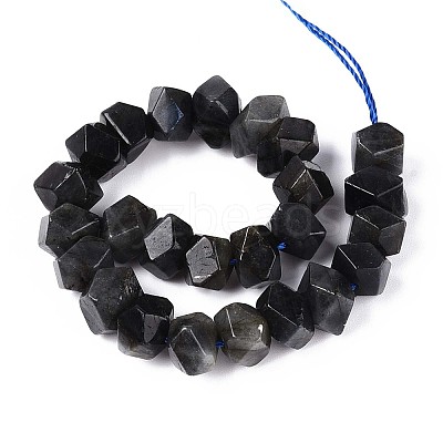 Natural Larvikite Beads Strands G-N327-05-28-1