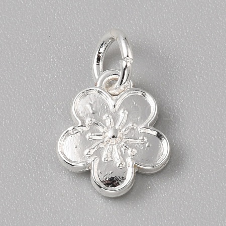 Brass Charms LS-FIND-WH0159-63S-14-1