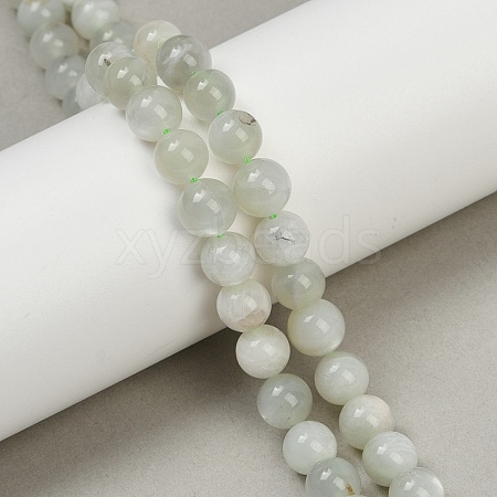 Natural Green Moonstone Beads Strands G-NH0060-A01-01-1