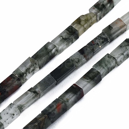 Natural African Bloodstone  Beads Strands G-S299-134-1