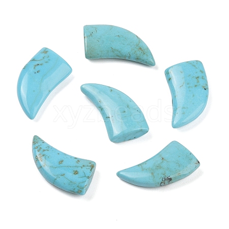 Natural Turquoise Cabochons G-Q186-02-1