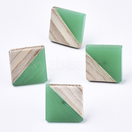 Opaque Resin & Wood Stud Earrings EJEW-N017-005A-B02-1