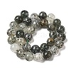 Natural Fuchsite Beads Strands G-K285-40D-1-3