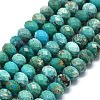 Natural HuBei Turquoise Beads Strands G-G106-A44-03-1