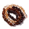 Natural Garnet & Citrine Beads Strands G-L610-B07-01-3