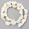 Natural Freshwater Shell Beads Strands SHEL-S276-88-2