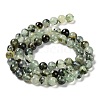 Natural Prehnite Beads Strands LS-G-P322-48-6mm-01-2
