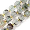 Natural Green Lodolite Quartz/Garden Quartz Beads Strands G-Q010-A18-01-1