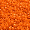 TOHO 6/0 Round Beads SEED-TR06-0042D-4